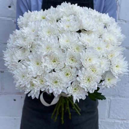 Белая кустовая хризантема - купить с доставкой в по Наволокам