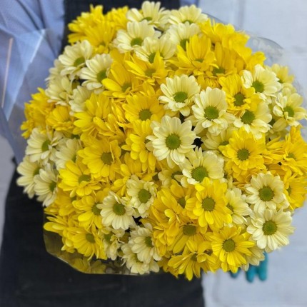 желтая кустовая хризантема - купить с доставкой в по Наволокам